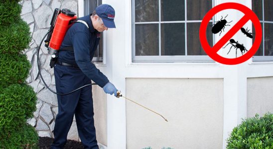 Türkeli Fare İlaçlama böcek ilaçlama ve haşere kontrolü — ilaclama-tr.com